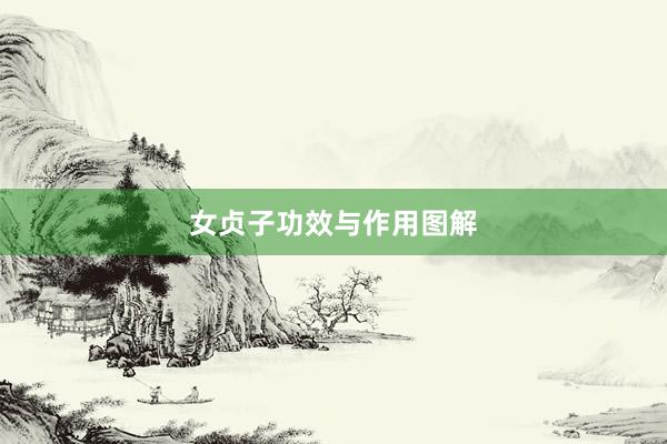 女贞子功效与作用图解