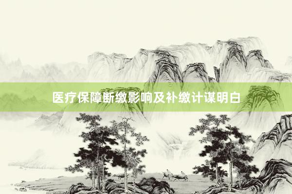 医疗保障断缴影响及补缴计谋明白