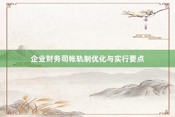 企业财务司帐轨制优化与实行要点